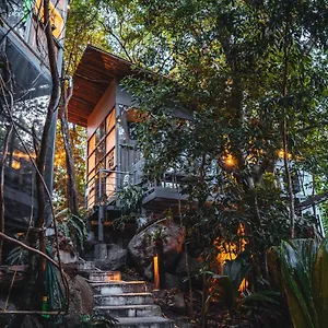 Warehouse , Ko Tao Thailand